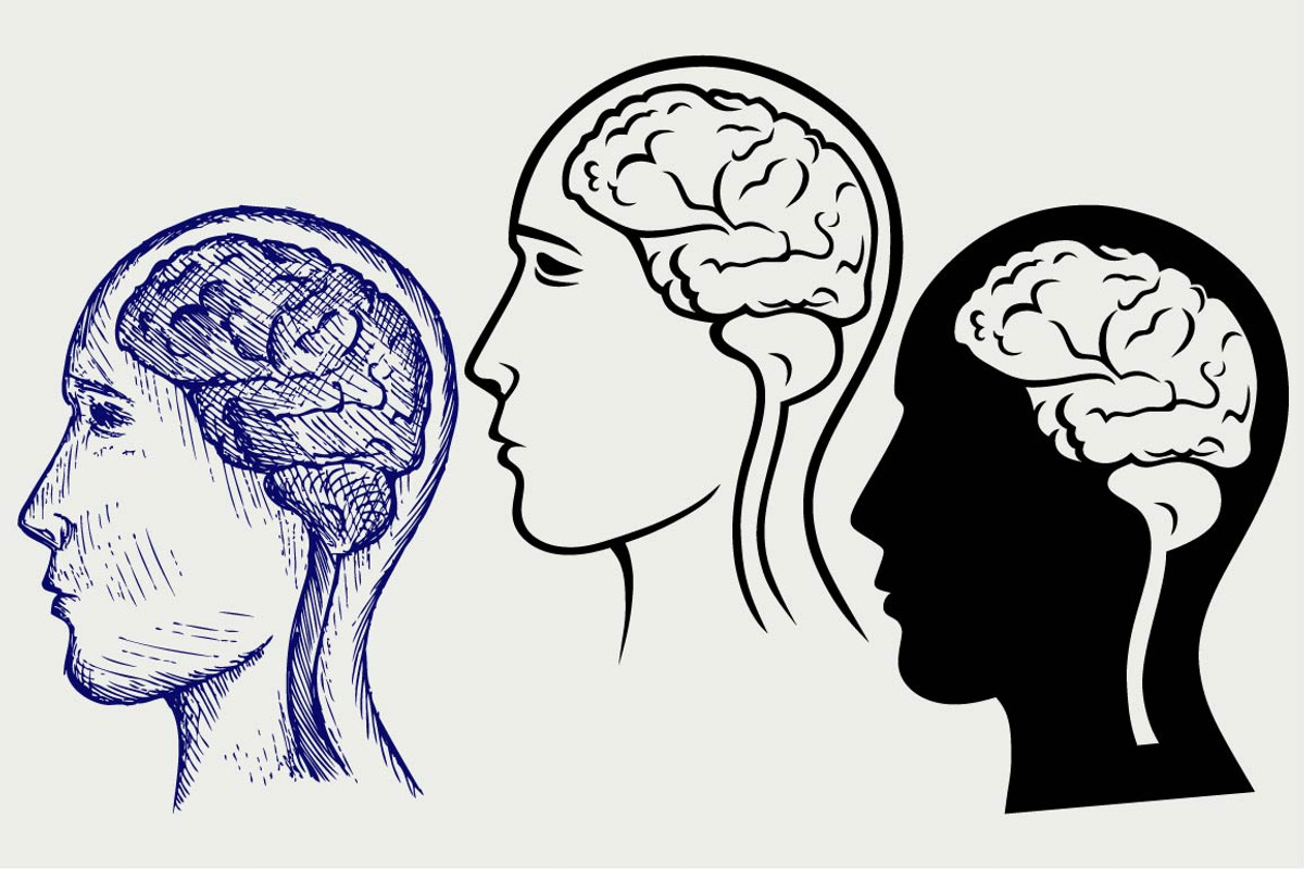 Human brain and head SVG, an Outline Icon by LineworkStock