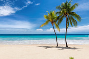 Sandy beach and coco palms featuring beach, palm, and sea, a Nature Photo by Lucky Photographer (Thumbnail 1 of 2)