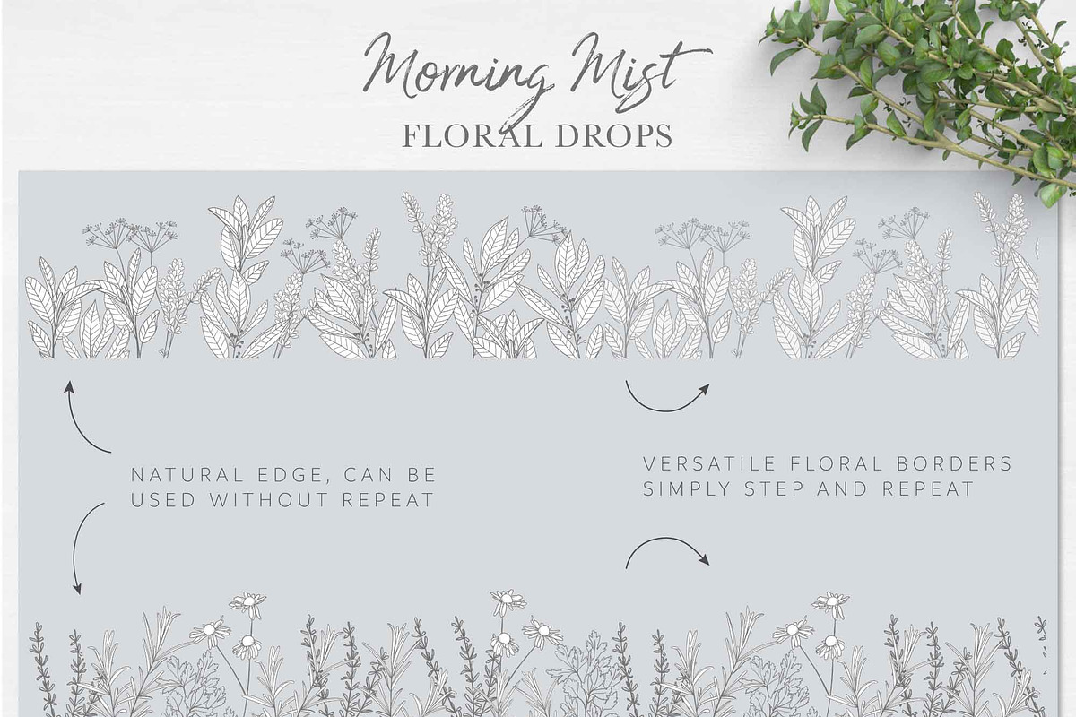 Morning Mist - Herb Collection, a Decorative Illustration by Momo Studio (Photo 17 of 18)