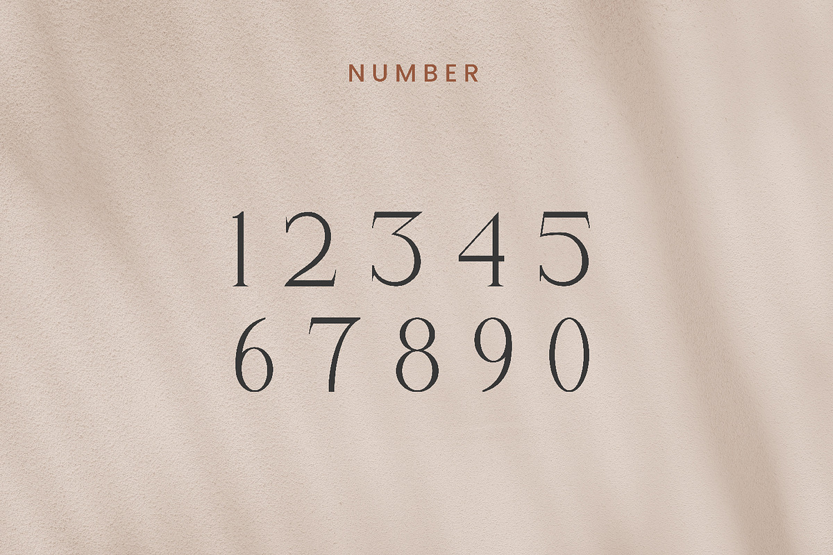 Blatherskite, a Serif Font by Rishsketch (Photo 9 of 12)