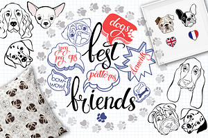 Dogs. Best friends.