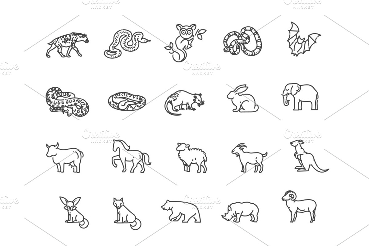 Line Animals Icons, an Animal Illustration by Tettygreen (Photo 2 of 3)