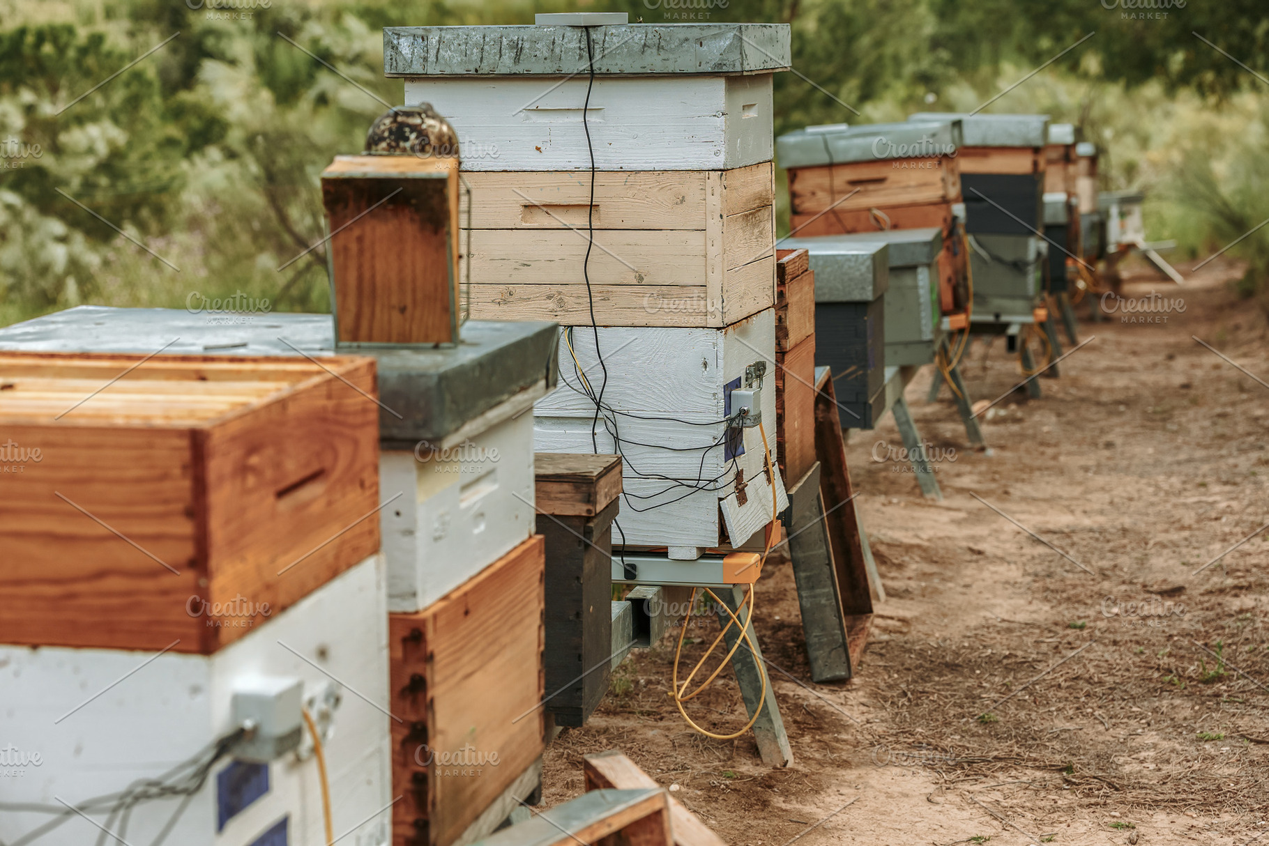 Beehives with Electronic Sensors in, an Industrial Photo by Perpis