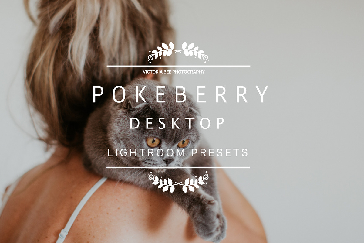Desktop Lightroom Presets POKEBERRY preview 5
