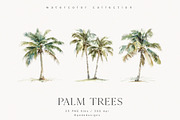 Palm Trees, a Decorative Illustration by PeDe Designs