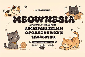 Meownesia–Cute Playful Display Font