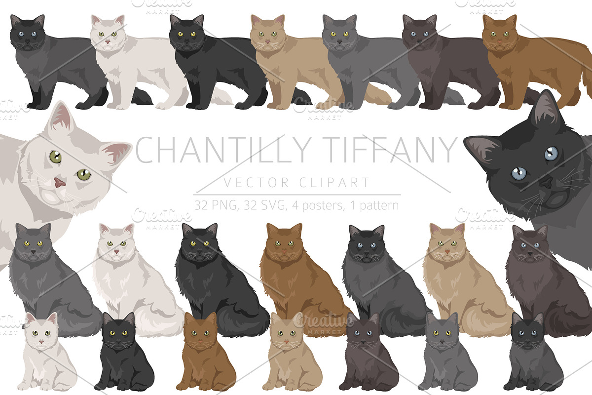 Chantilly Tiffany Cat clipart set, an Animal Illustration by pet design shop (Photo 1 of 6)