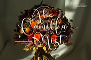 Misty Blossom, a Script Font by Sans & Sons (Thumbnail 4 of 9)