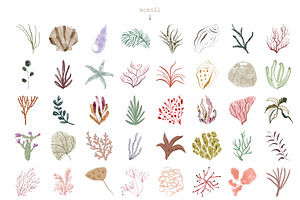 Watercolor Sea Animals Bundle