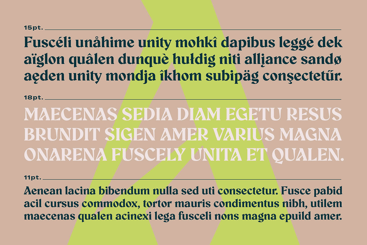Aeda Rift, a Serif Font by ZP Fonts™ (Photo 8 of 12)