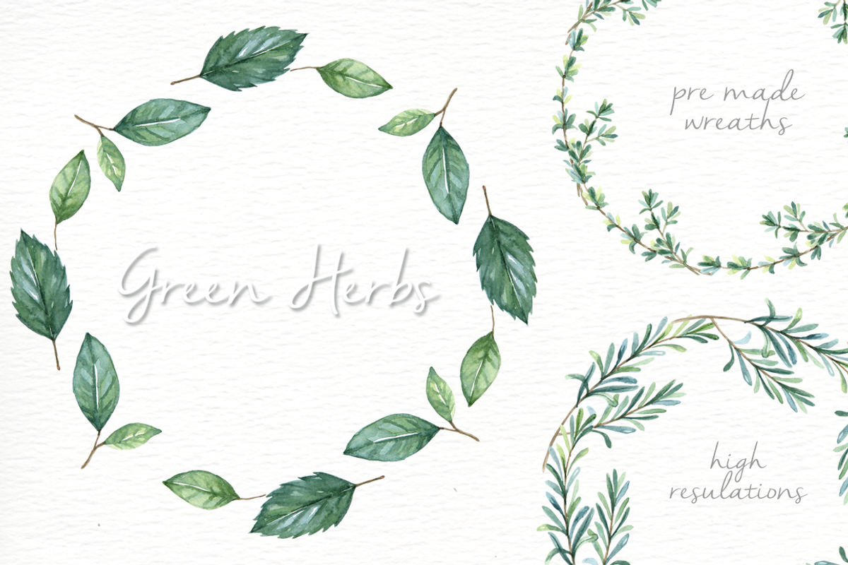 Green Herbs Watercolor clipart, a Food Illustration by everysunsun (Photo 3 of 5)