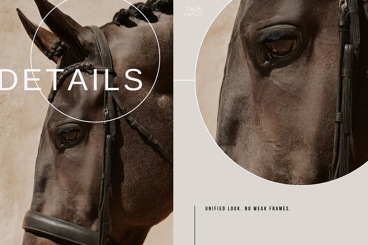 Dark Equestrian | 200 stock images, an Animal Photo by Tale.Haus (Photo 10 of 13)