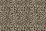 Leopard Skin Seamless Pattern Set., a Texture Graphic by Gomolach (Thumbnail 16 of 21)