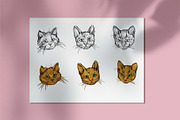 Cat on leopard print background, an Animal Illustration by Sweet_print (Thumbnail 6 of 8)