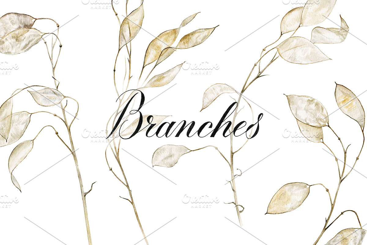 Lunaria branches, an Illustration by Watercolor life (Photo 1 of 7)