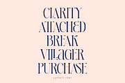 Lafonte Font, a Serif Font by vuuuds (Thumbnail 9 of 13)