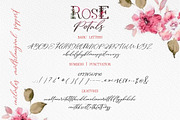 Rose Petals. Font duo + Bonuses., a Script Font by Red Ink (Thumbnail 9 of 13)