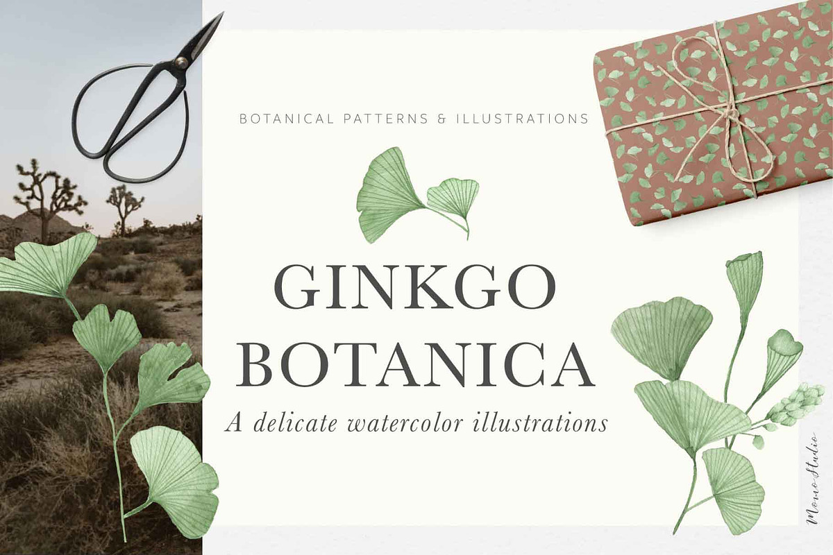 Ginkgo Botanica - Florals & Leaves, a Texture Illustration by Momo Studio (Photo 1 of 12)