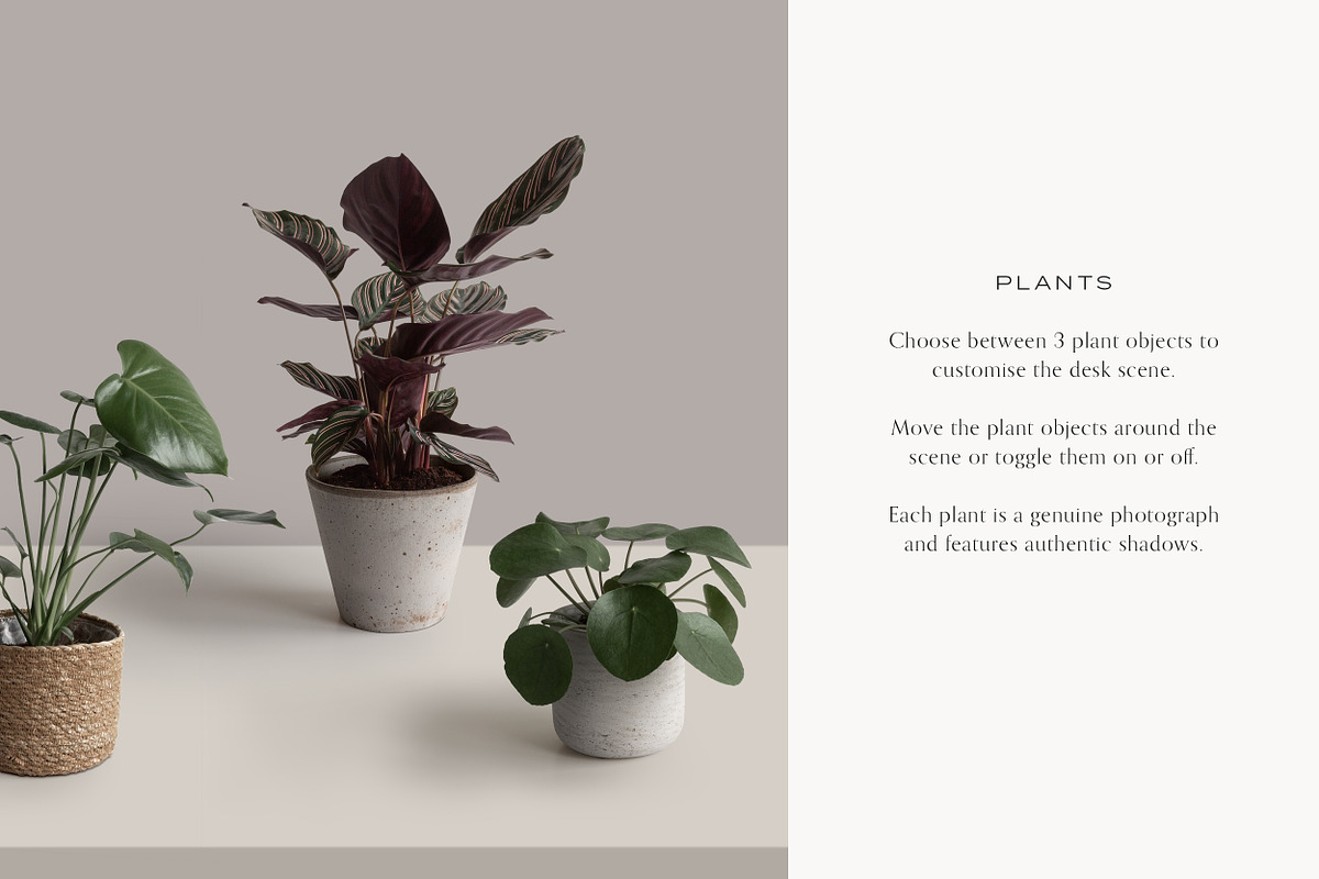 Desktop & Multi Device Scene Creator, a Mac Mockup by Moyo Studio (Photo 15 of 15)