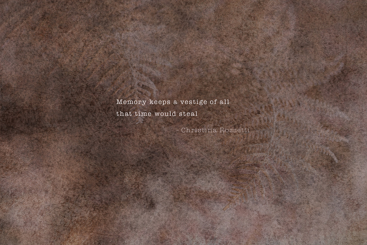 Vestige · Organic Backgrounds, a Background Graphic by alonahaidash (Photo 13 of 14)