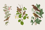 Free Birds, a Decorative Illustration by olga.korneeva (Thumbnail 6 of 11)