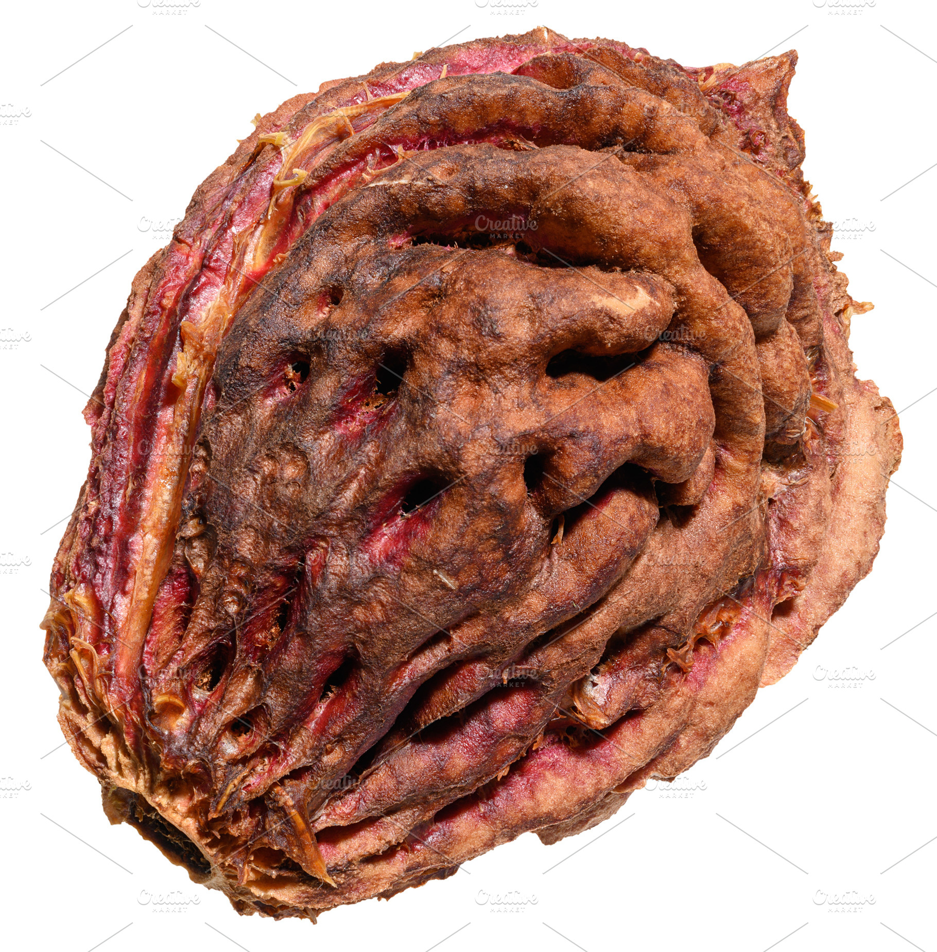 A close-up of a peach or apricot pit with a rough texture on an, a Food & Drink Photo by ndanko