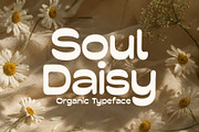 Soul Daisy - Organic Font, a Sans Serif Font by HipFonts (Thumbnail 1 of 12)