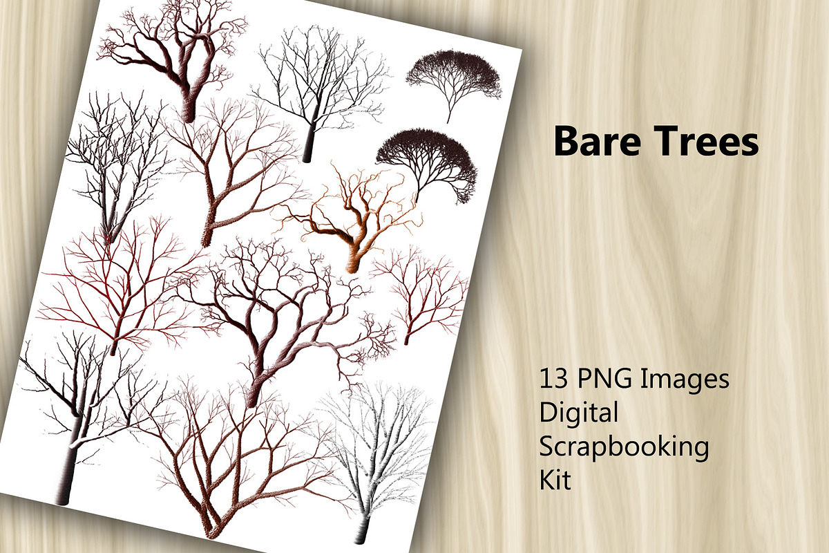 13 PNG images - Bare Trees, a Print Template by Kseniya-Omega (Photo 1 of 3)