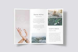 LUMINA Trifold Brochure