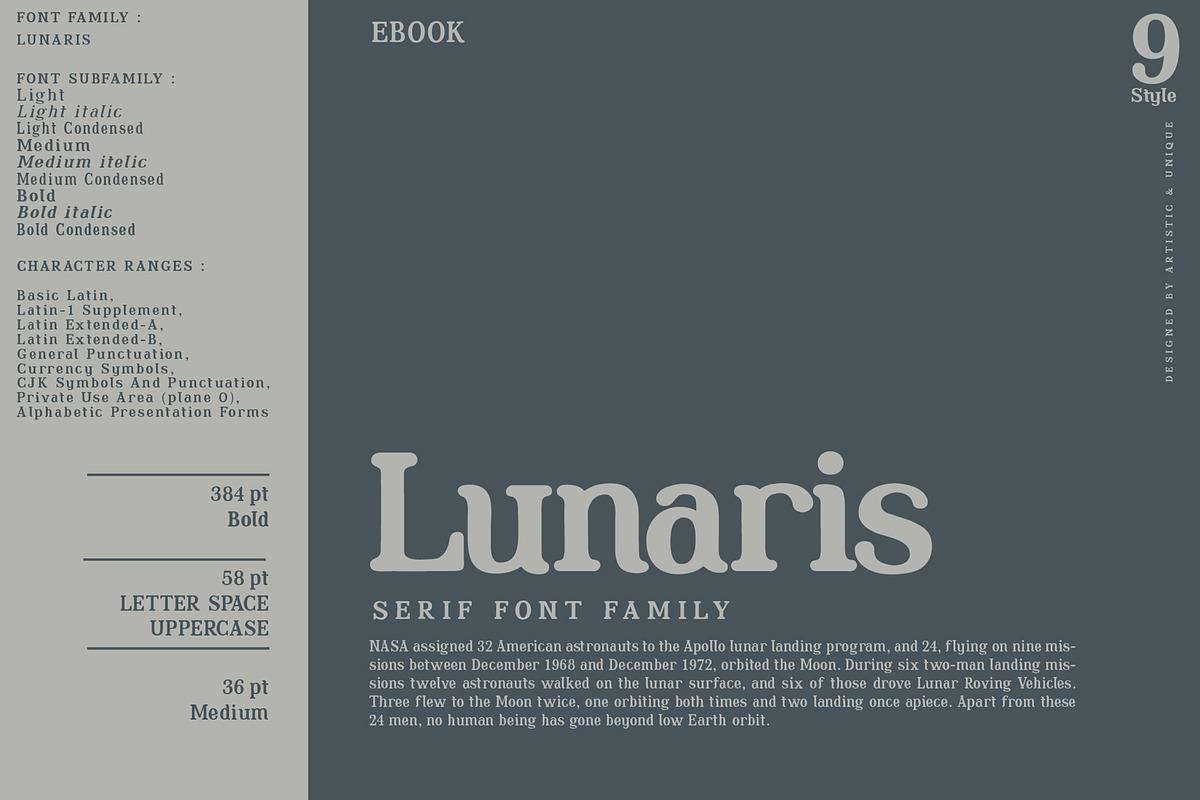 Lunaris - Serif Font Family, a Serif Font by Artistic & Unique (Photo 9 of 14)