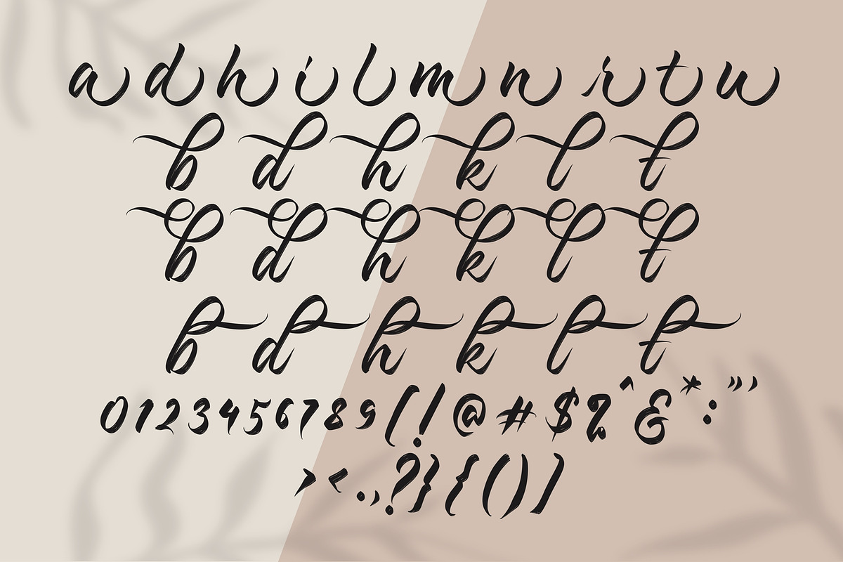 Kashina Brush Script, a Script Font by Debut Studio (Photo 9 of 9)