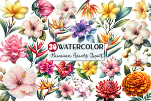 Hawaiian Flowers Watercolor Clipart, an Illustration by Rose Art