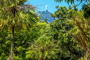 Rio de Janeiro Botanical Garden