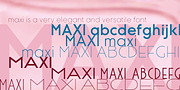 Maxi, a Sans Serif Font by Wiescher-Design (Thumbnail 7 of 7)