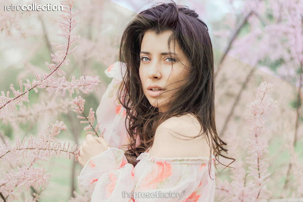 Retro Collection - Adobe Camera Raw, a Plug-in Add-On by The Preset Factory Ltd. (Photo 2 of 6)