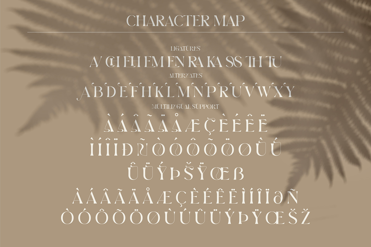 BROW VOLKY Stylish Serif Font, a Serif Font by Storytype Studio (Photo 9 of 10)