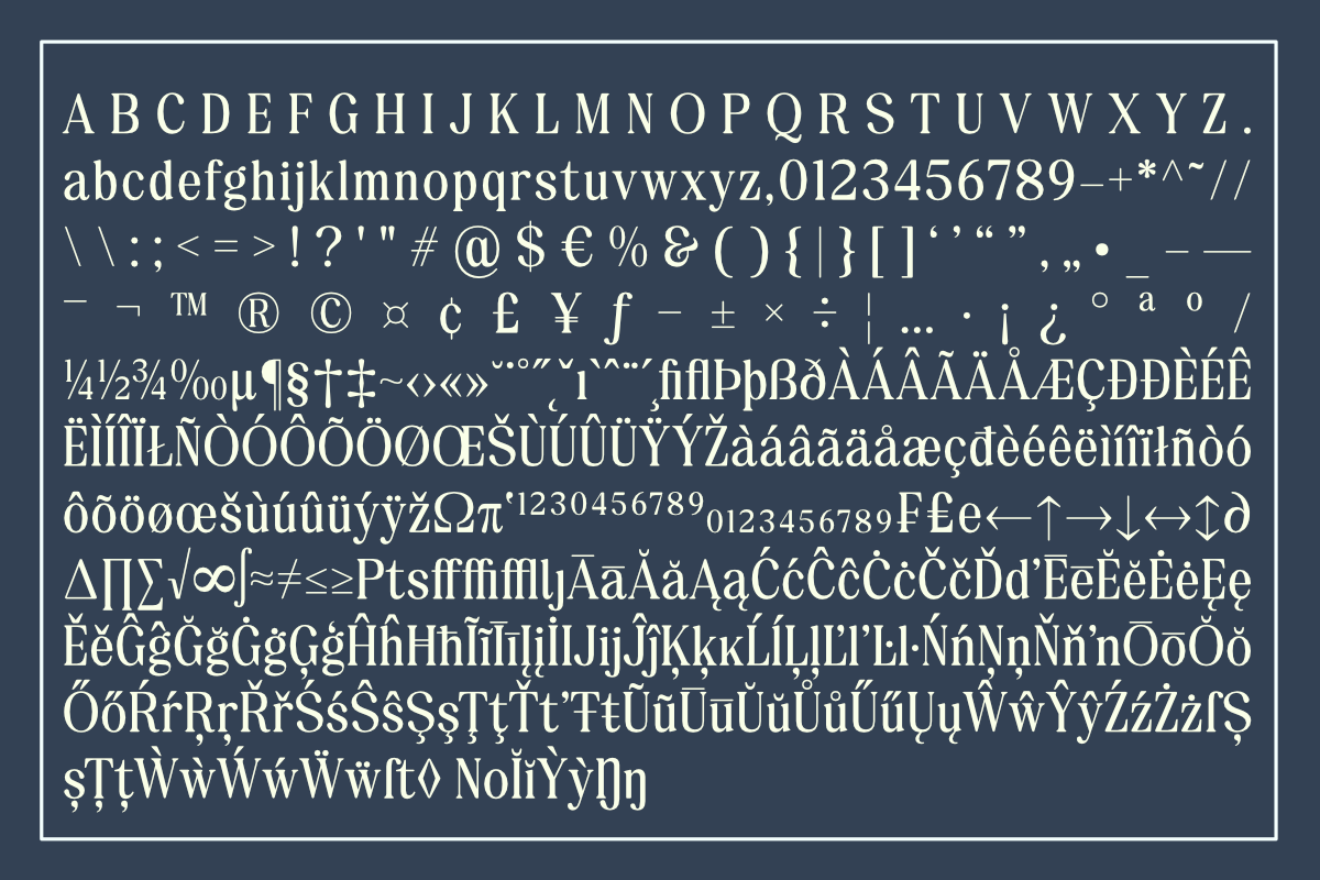 Esatis Smoothen - Serif Family, a Serif Font by Differentialtype (Photo 10 of 12)