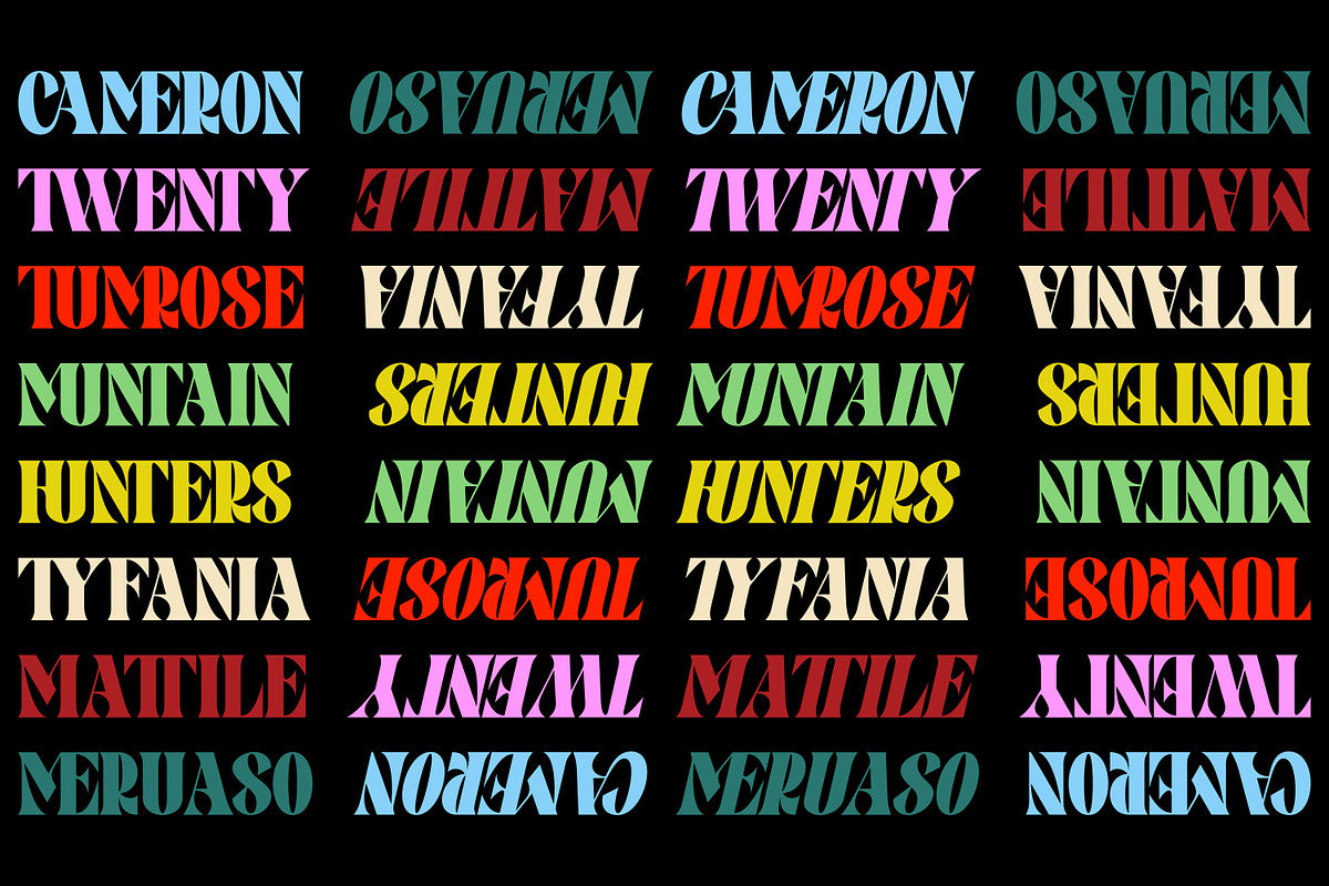 Pronema - Modern Serif, a Serif Font by tebaltipislab (Photo 5 of 13)
