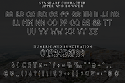 Lines Script, a Script Font by InermediaSTUDIO (Thumbnail 7 of 8)