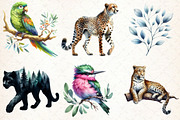 Watercolor Wildlife Nature Animals, an Illustration by Libby Wishes (Thumbnail 6 of 9)