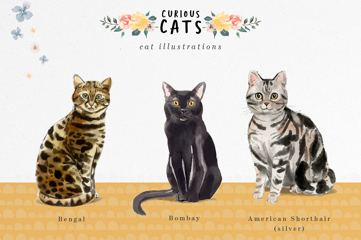 Curious Cats Feline Clipart, an Animal Illustration by Twigs and Twine (Photo 3 of 11)
