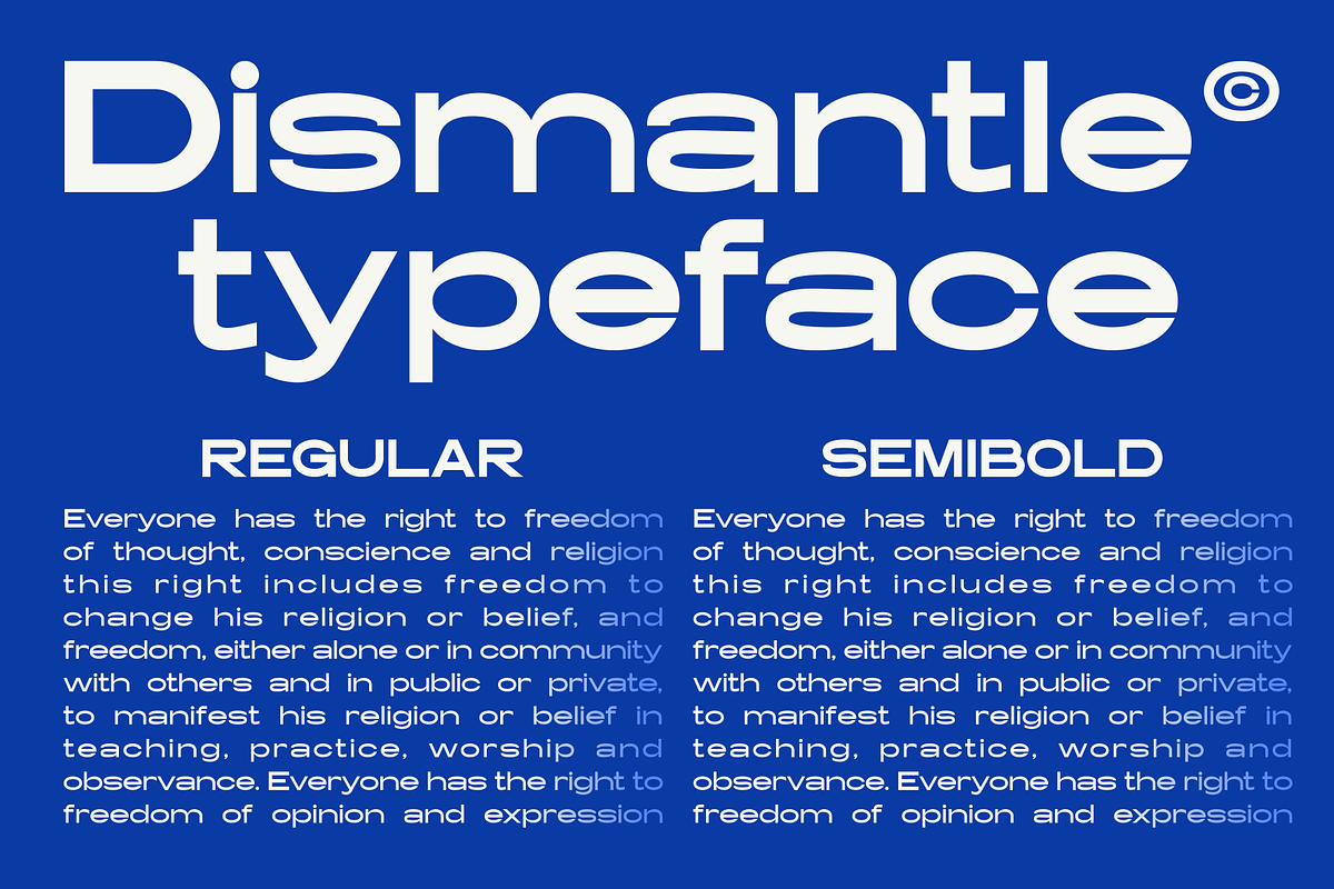 Dismantle - A Modern Sans Serif, a Sans Serif Font by Marvadesign (Photo 3 of 7)