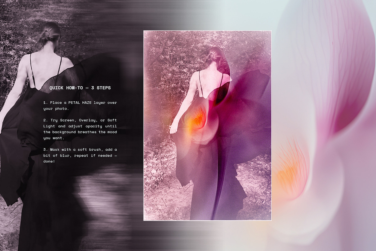 PETAL HAZE: Floral-Blur Backgrounds, a Background Graphic by alonahaidash (Photo 5 of 12)