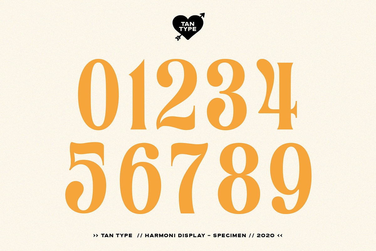 TAN - Harmoni, a Serif Font by TanType (Photo 13 of 19)
