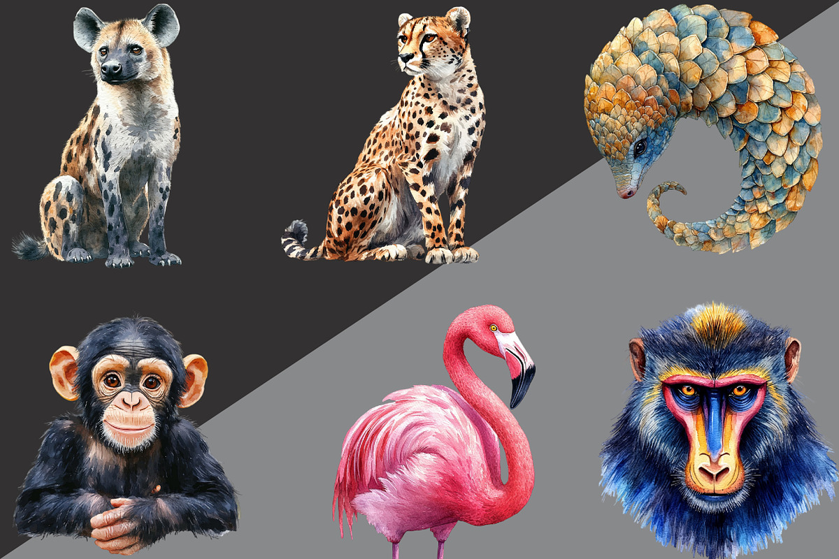 Wild Animals Of Africa PNG, an Illustration by Black Bird Studio (Photo 2 of 6)