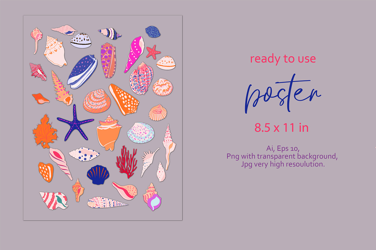 seashells collection, a Texture Illustration by Mona Ahmed (Photo 5 of 10)