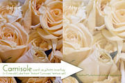 Dressing Room texture set, a Texture Graphic by Cindy Garber Iverson (Thumbnail 5 of 5)