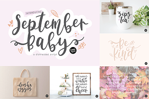 AUTUMN BREEZE Fall Font Bundle