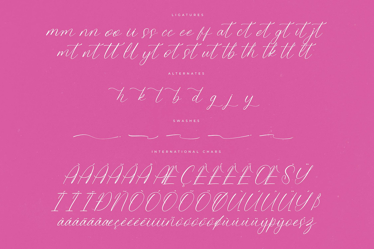 Petalip Orchid Modern Freestyle, a Script Font by Letterena Studios Script (Photo 14 of 15)