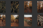 Cozy FALL Season (45 images), a Nature Photo by studiottander (Thumbnail 7 of 9)